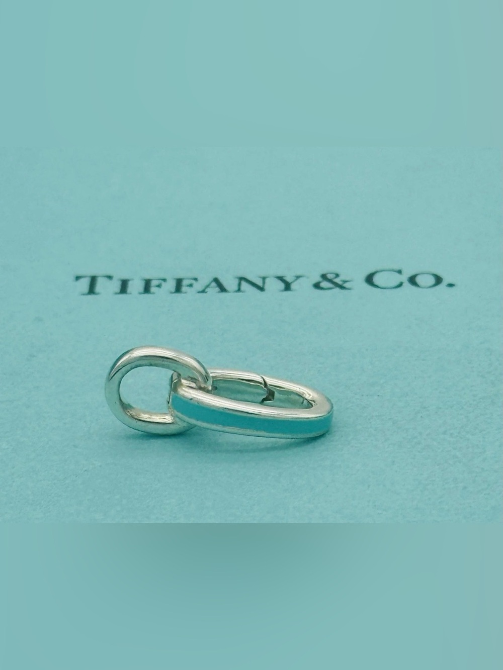 Tiffany Co. Blue Enamel Clasping Link Jump Ring Charm Bracelet Necklace Extender